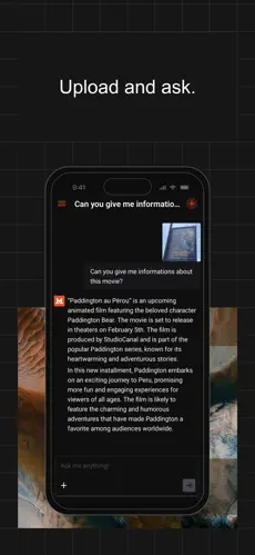 Mistral Le Chat App